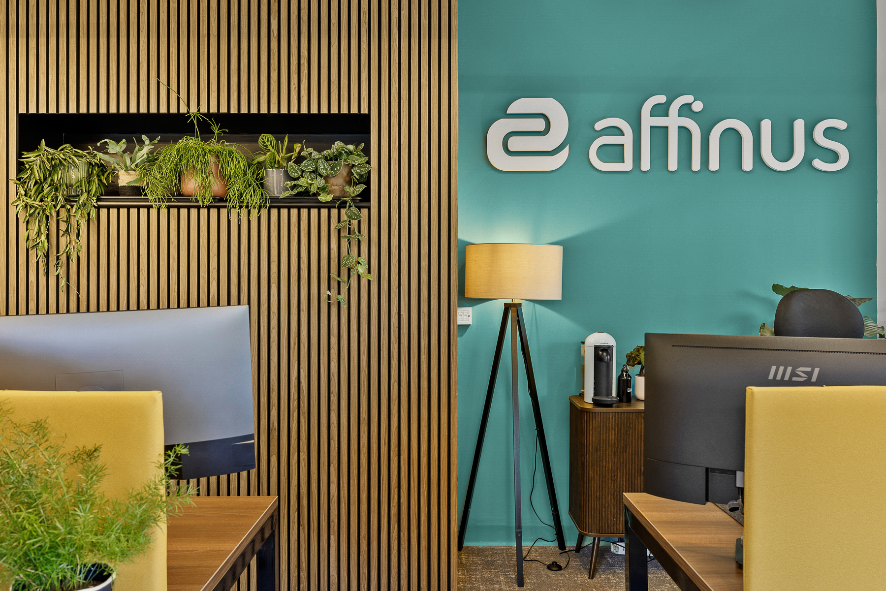 Affinus Secondary Image